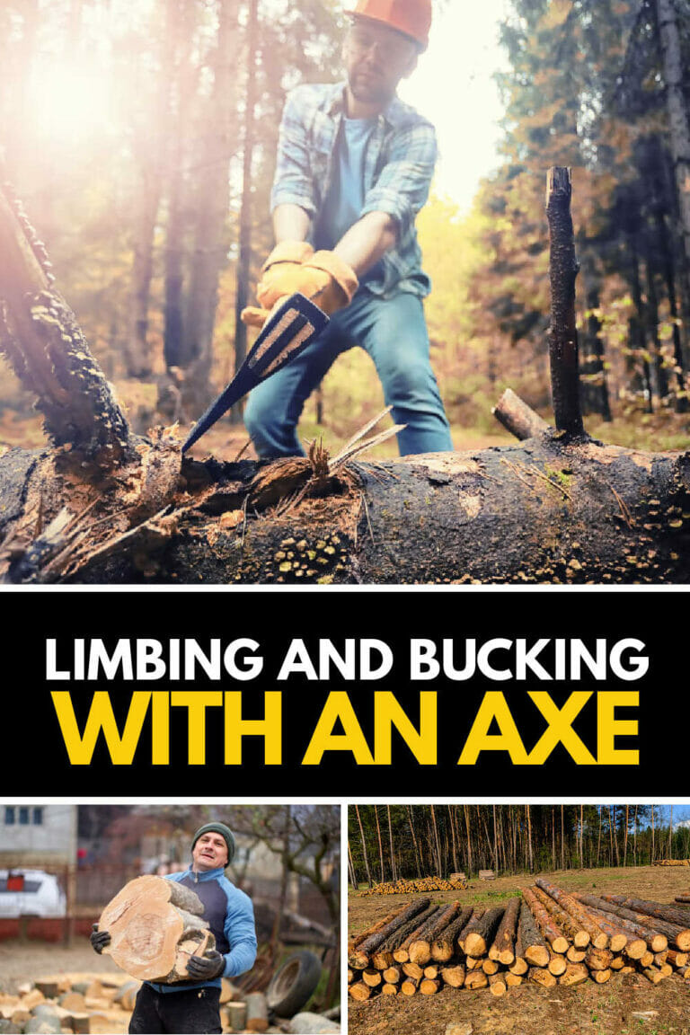 How To Limb And Buck A Tree With An Axe - Axe Adviser